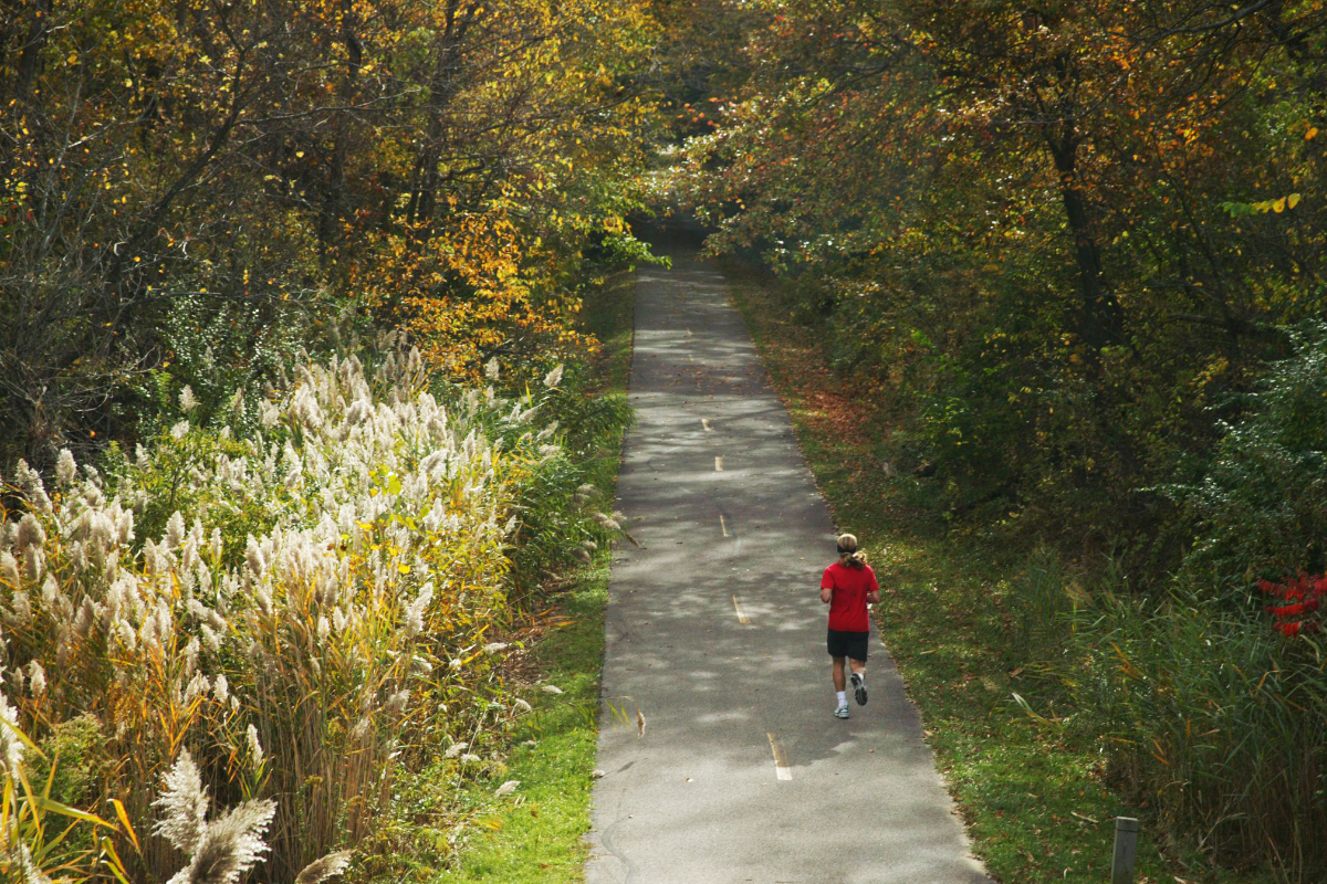 Springfield Park District Trails