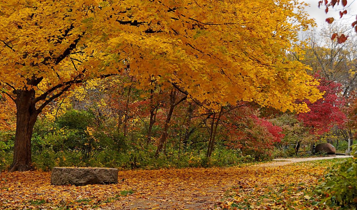 Events