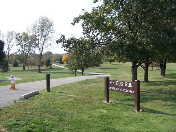 Stuart Park Dog Run