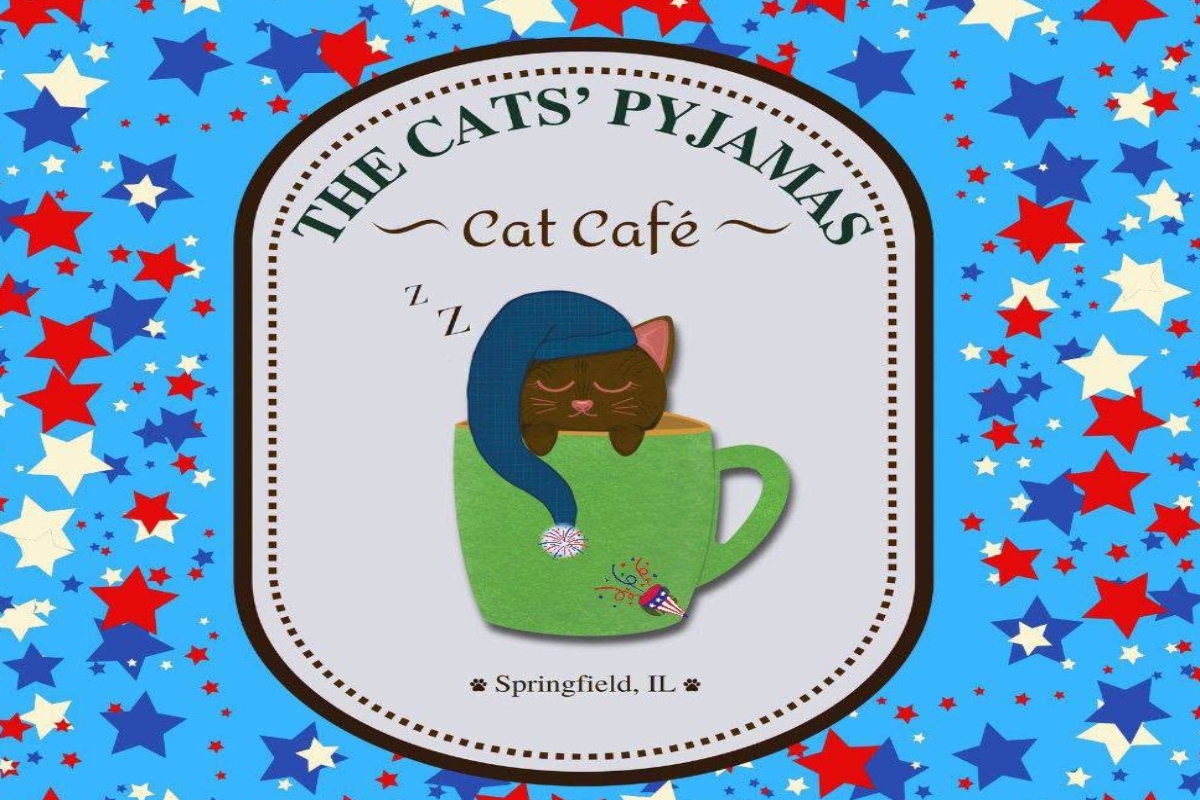 Cats' Pyjamas Cat Cafe