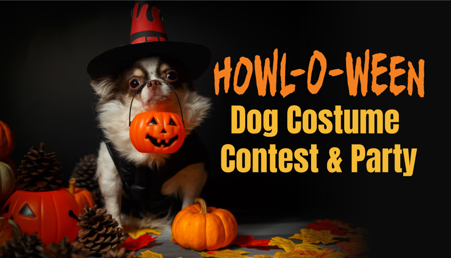 Howl-O-Ween pet costume competition