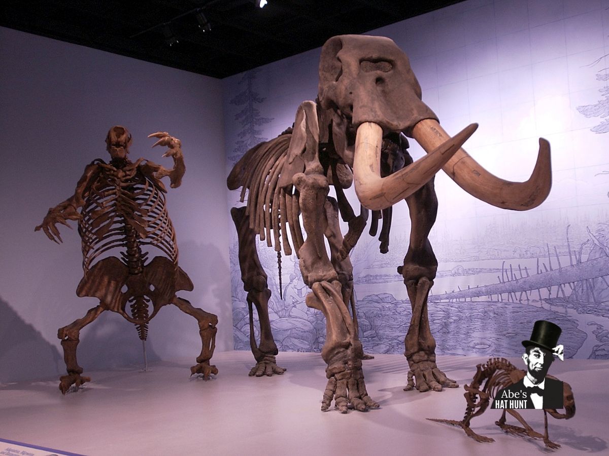 Illinois State Museum