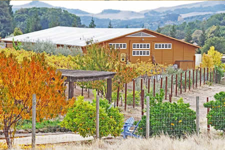 Image of Rock Creek Vineyards