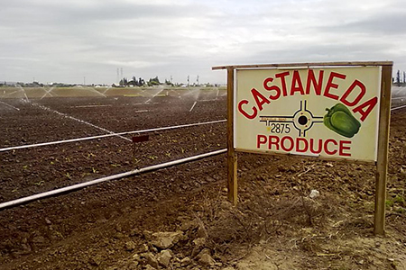 Image of Castaneda Brothers Produce