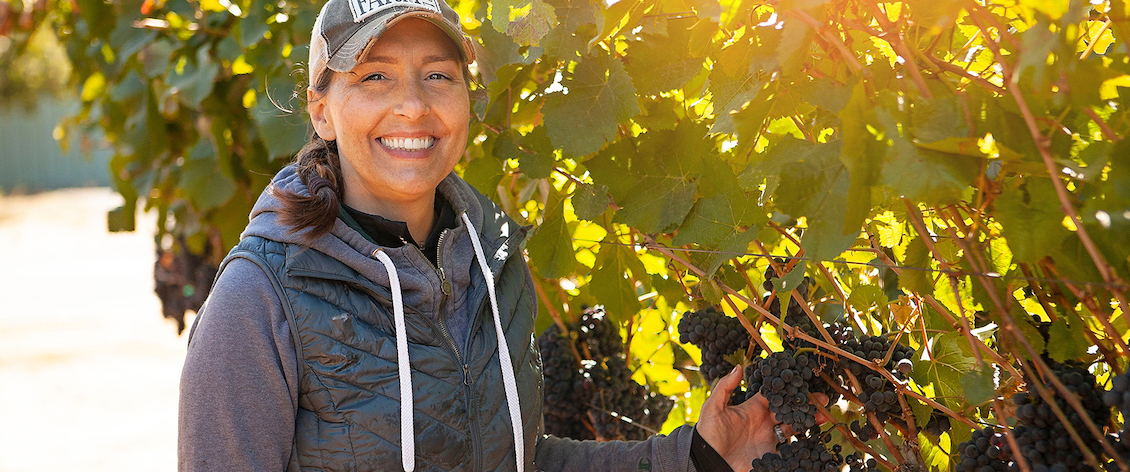 Image of Tolenas Vineyards & Winery