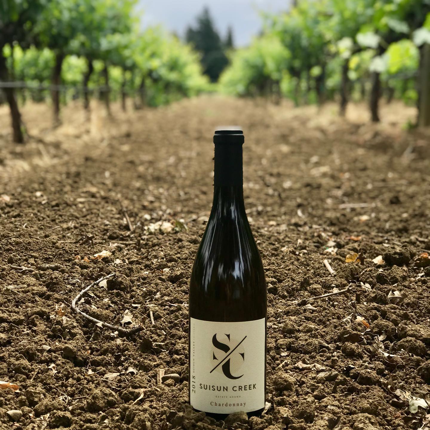 Image of Suisun Creek Winery