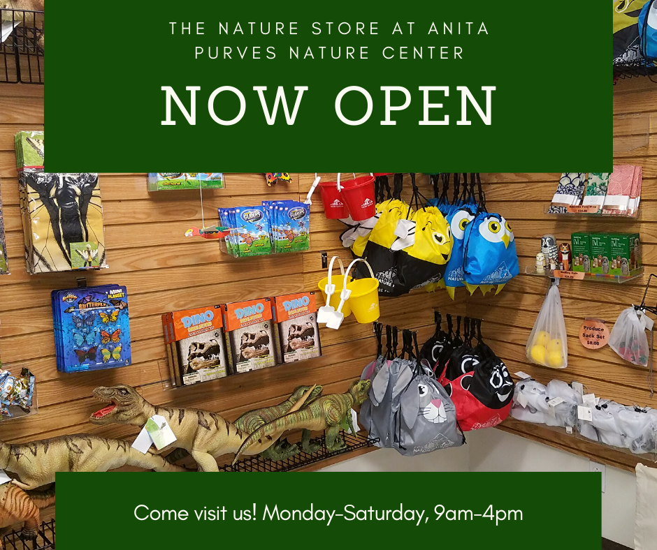 Kids, books, toys, and stuffed animals at Anita Purves Nature Center.