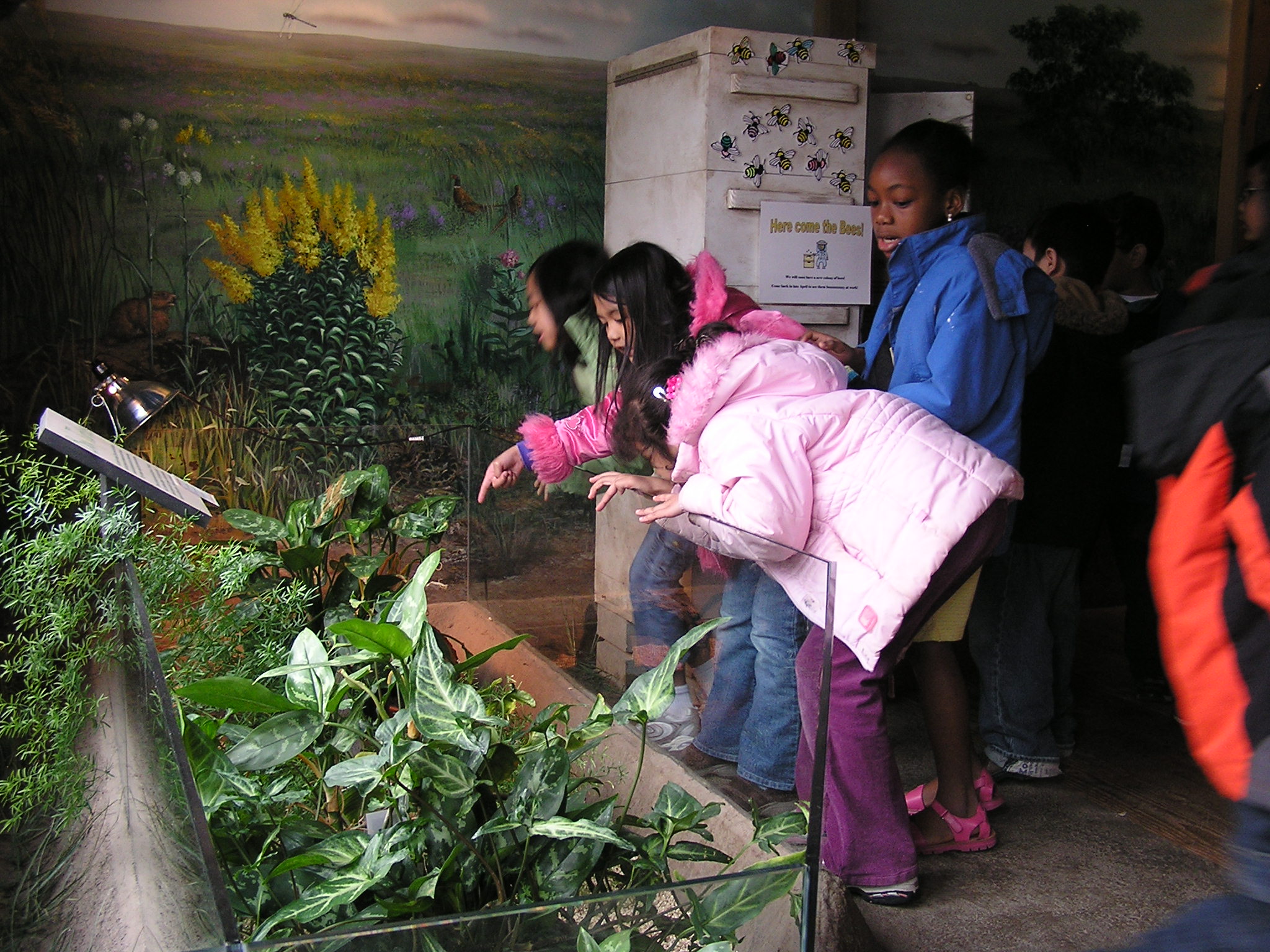 Children look at the animals at Anita Purves Nature Center.