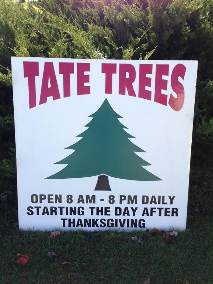 Sign for Tate Trees in Champaign.