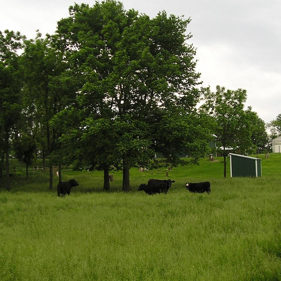 Avery Farms in Penfield.