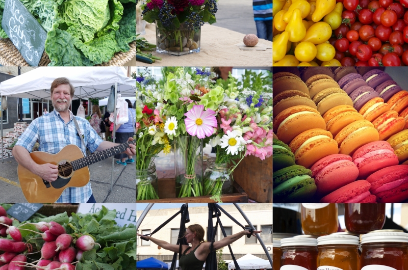 Highlights from Champaign Farmers Market including flowers, macaroons, vegetables and more!