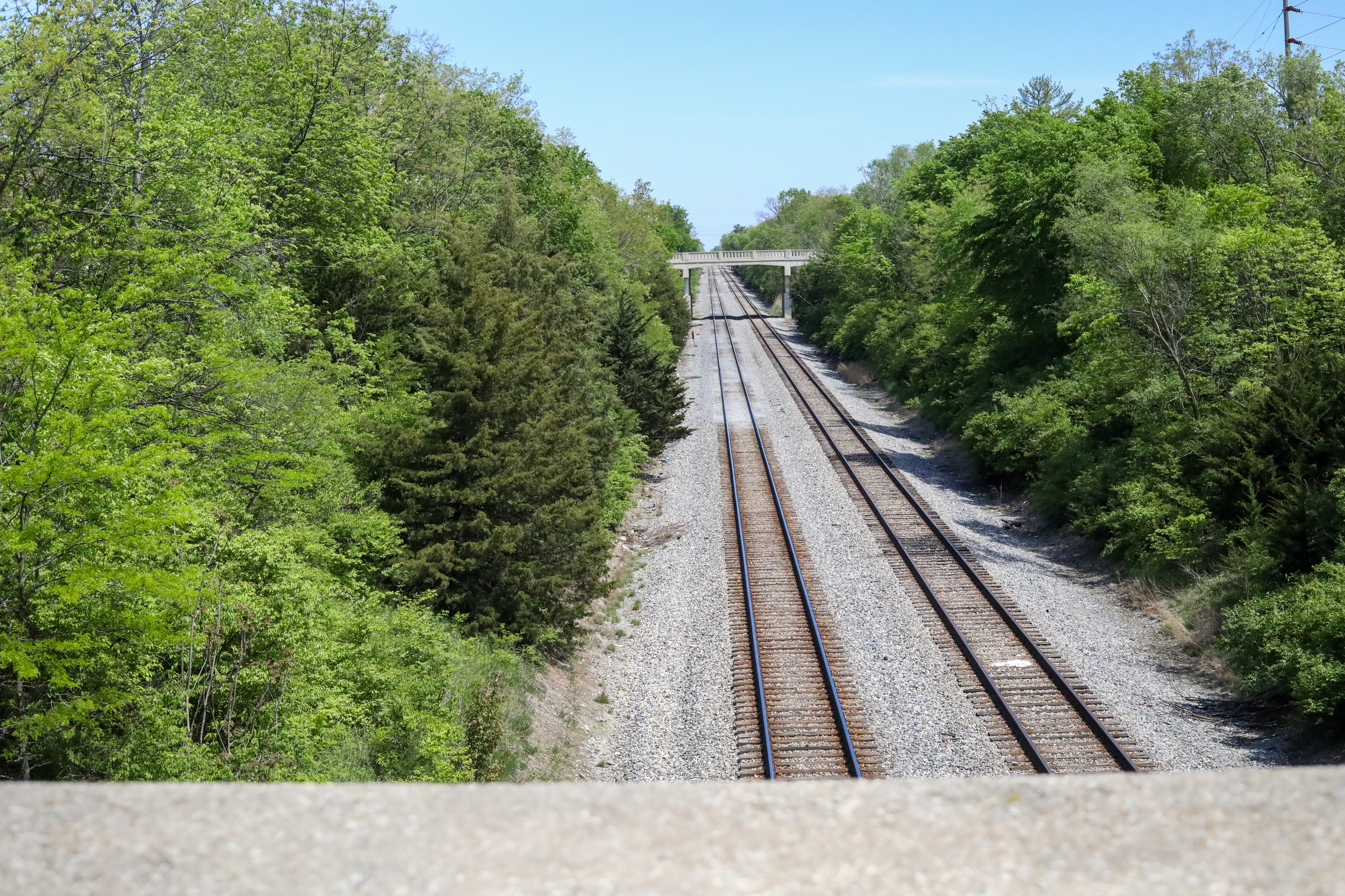2 railroad tracks going through trees