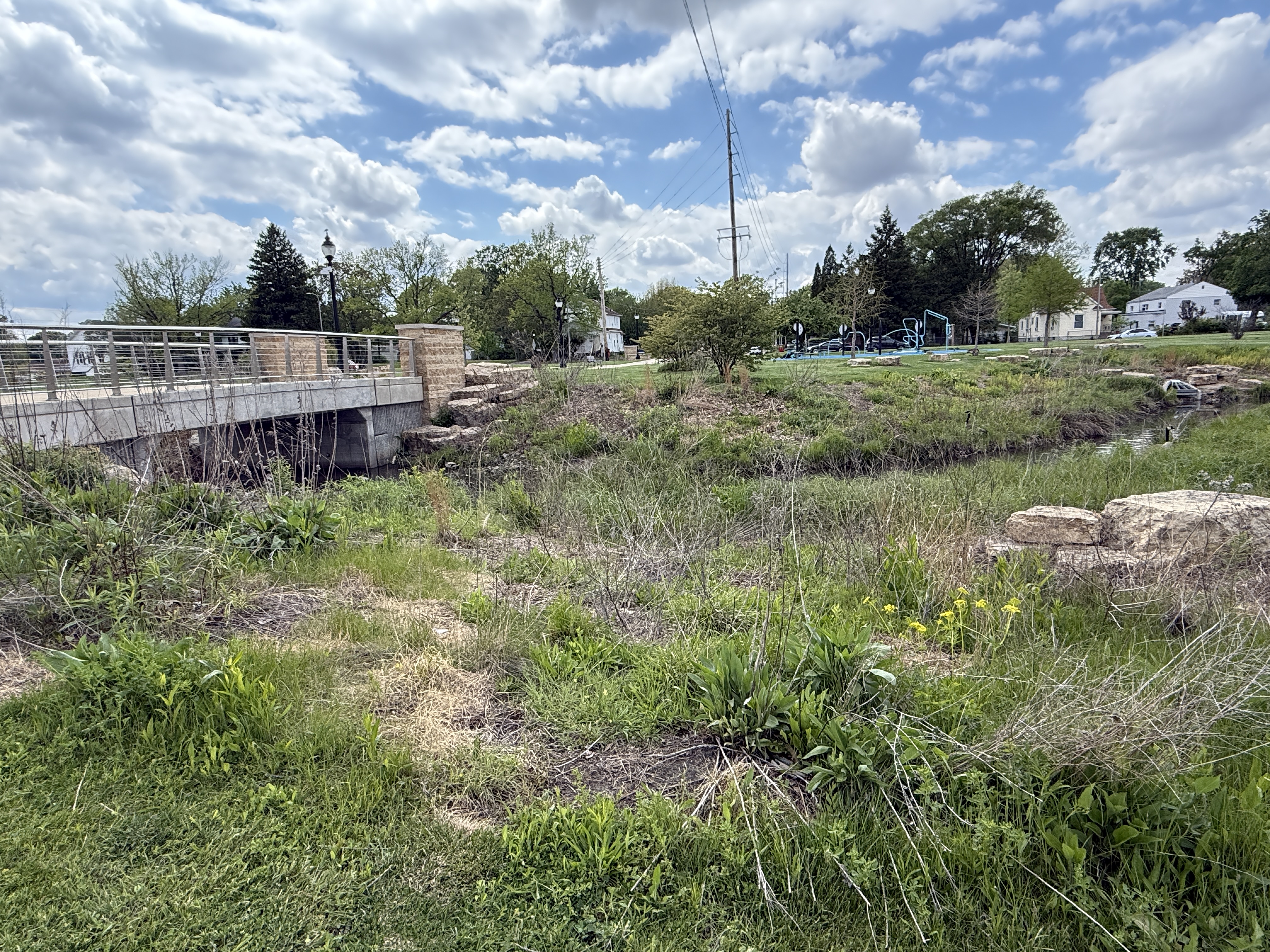 silver bridge over a small creek and river bank plant growth