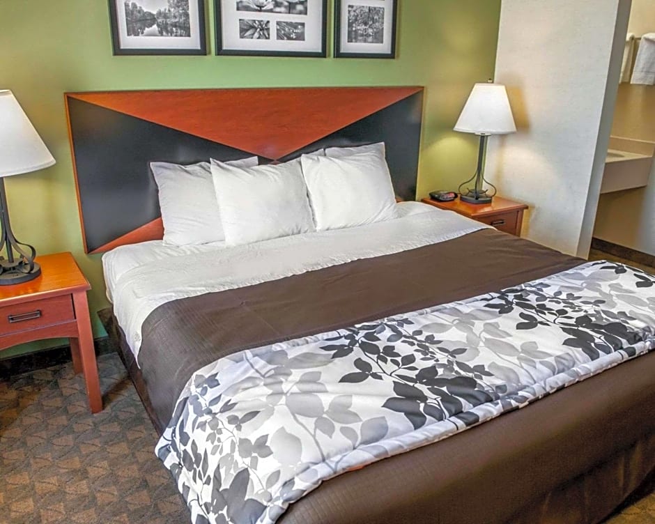 Room at Econo Lodge in Urbana.