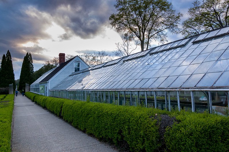greenhouse with a walking path and bushes