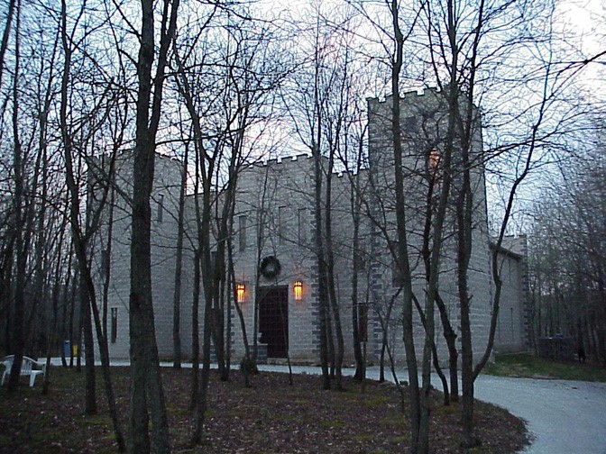 grey castle structure behind barren trees