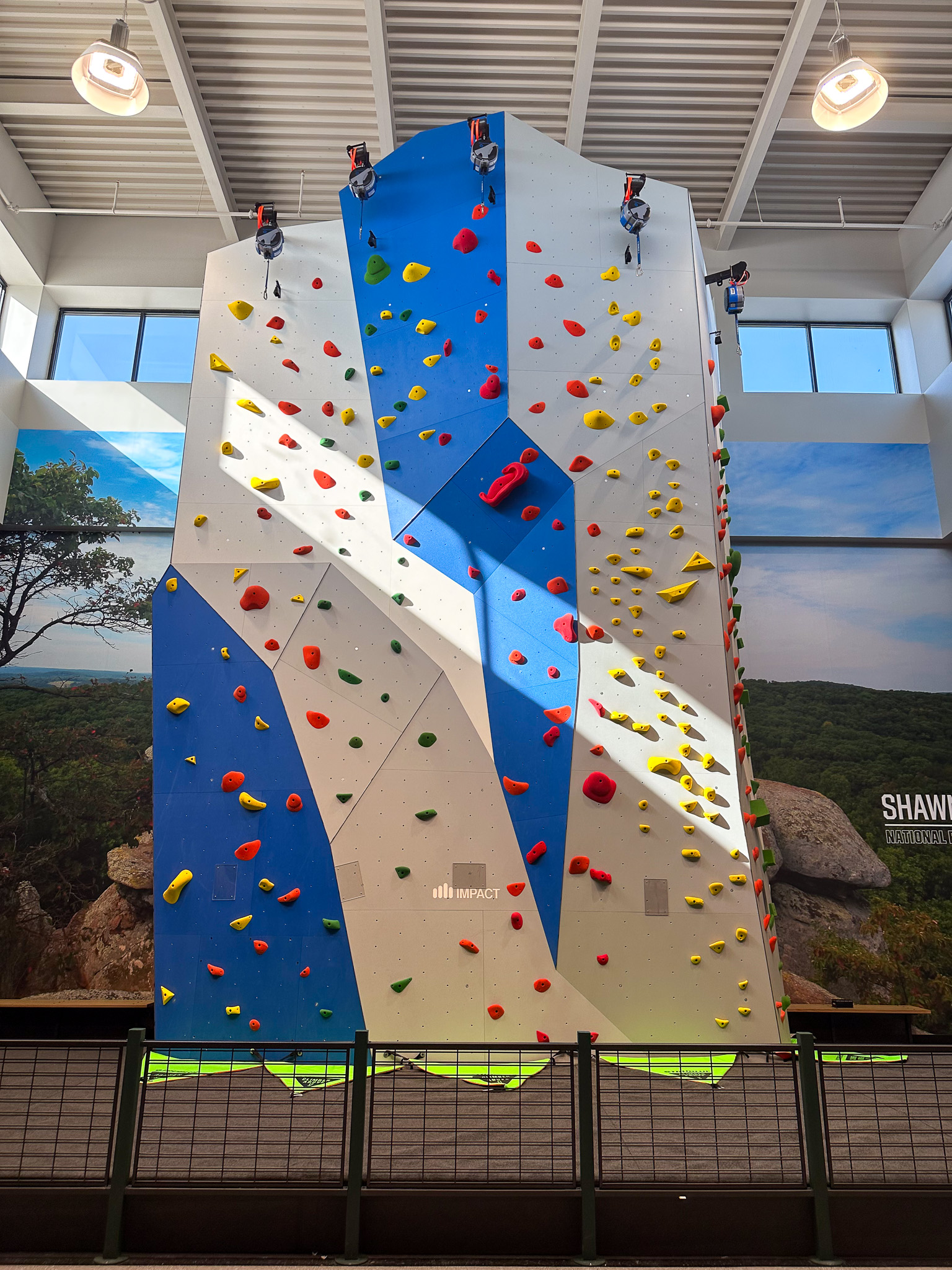 Rock climbing wall at Dick's House of Sport.