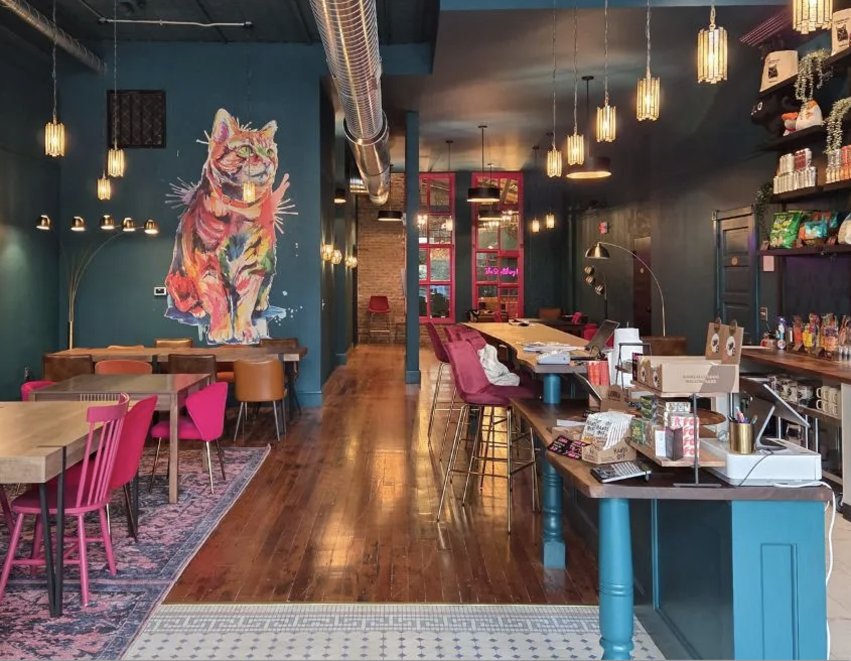 cat café interior