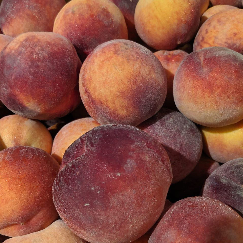 Peaches from Okaw Valley Orchard in Sullivan.