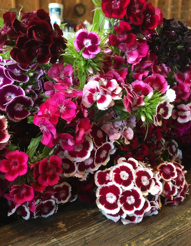 Flowers from Illinois Willows in Seymour.