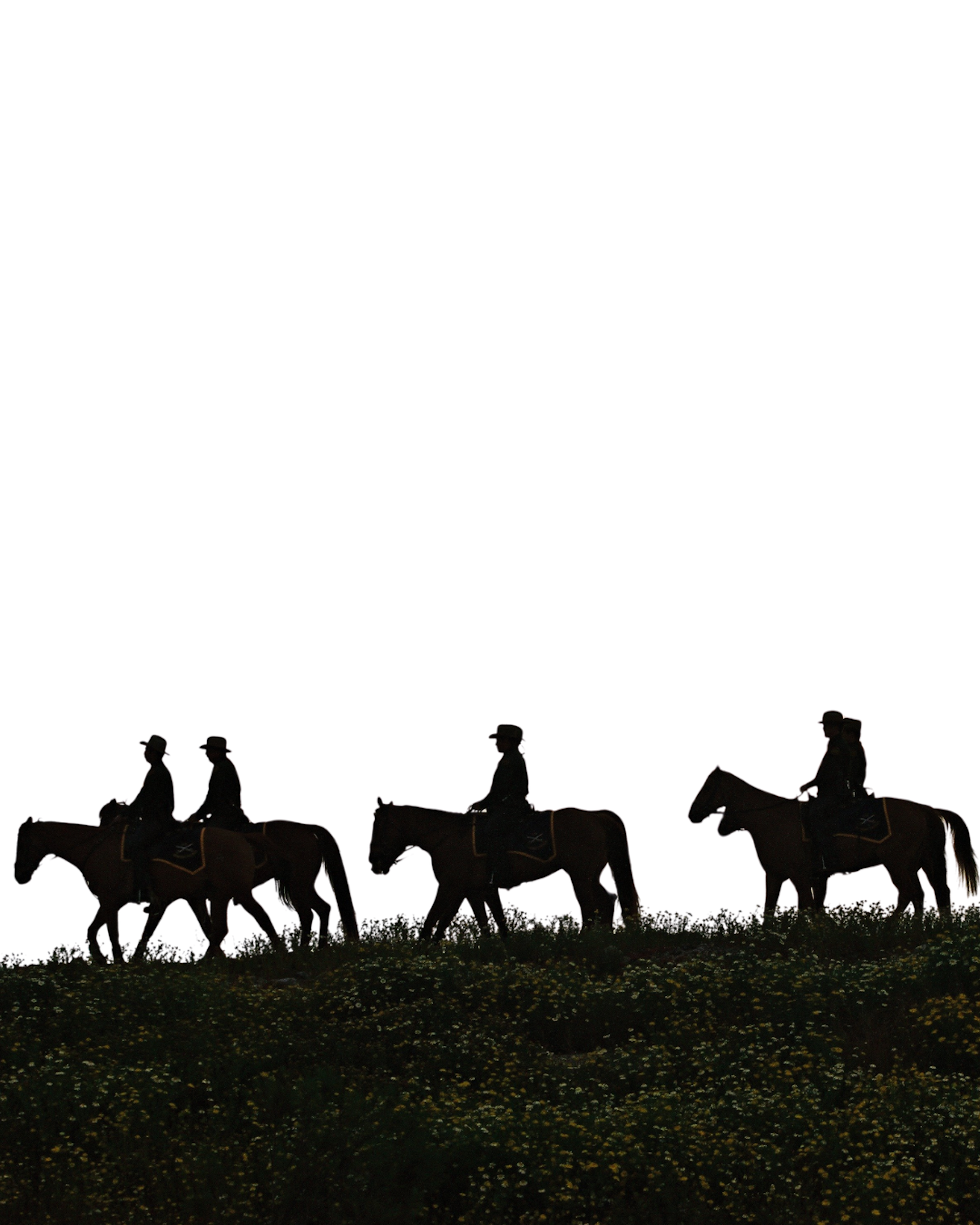 The Story of Texas Tour at The Bryan Museum
