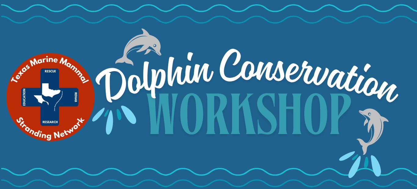 Rehabilitation and Research Center: Texas Marine Mammal Stranding Network presents a Dolphin Conservation Workshop