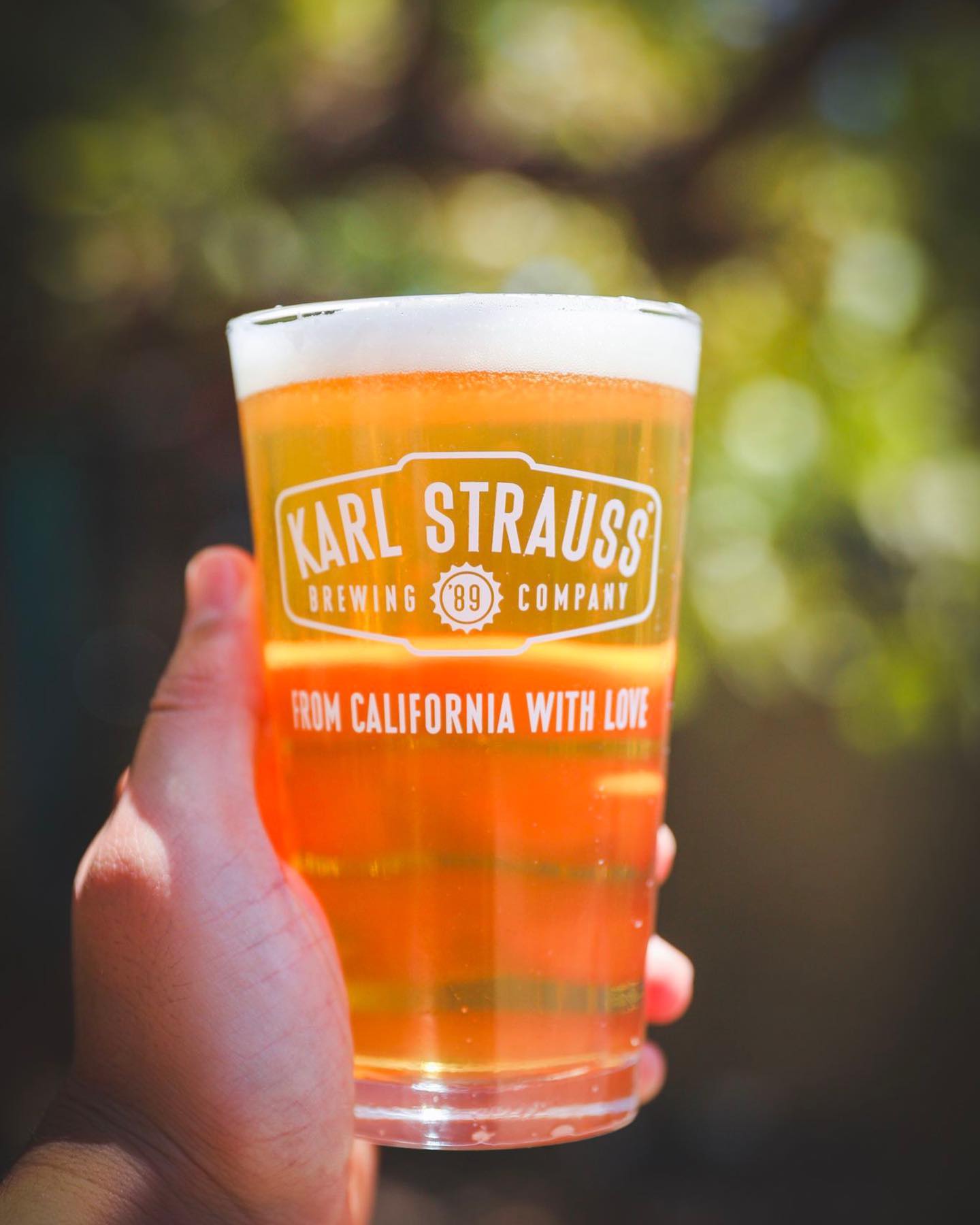 Karl Strauss Brewing Company