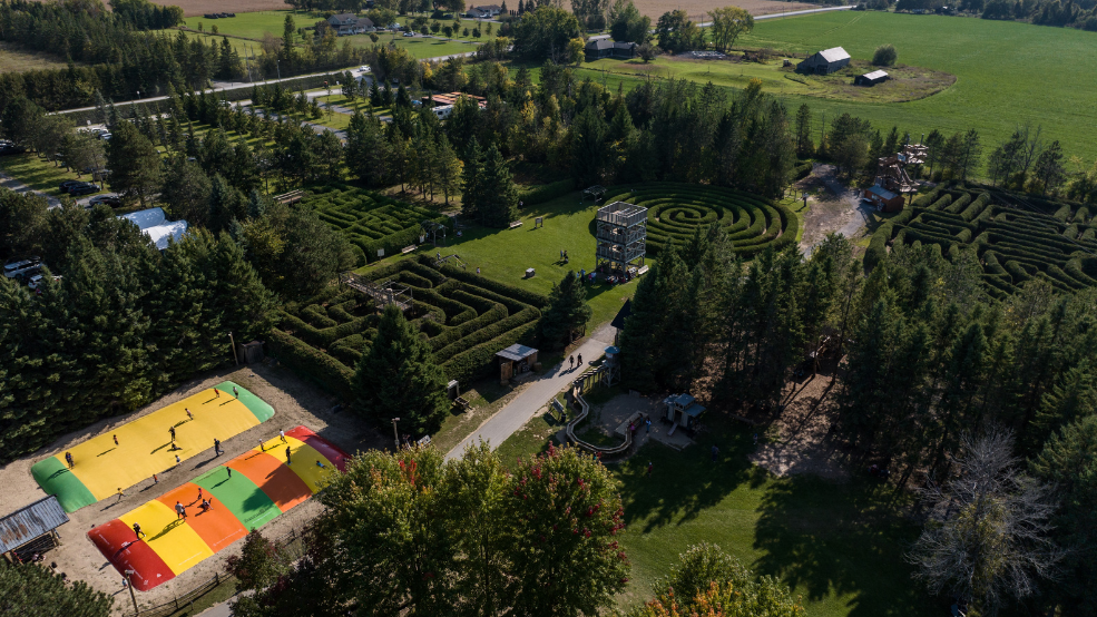 Summer Maze Days at Saunders Farm