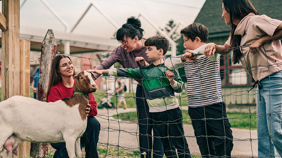 A group of people watching a goat and an open-air museum guide at the museum