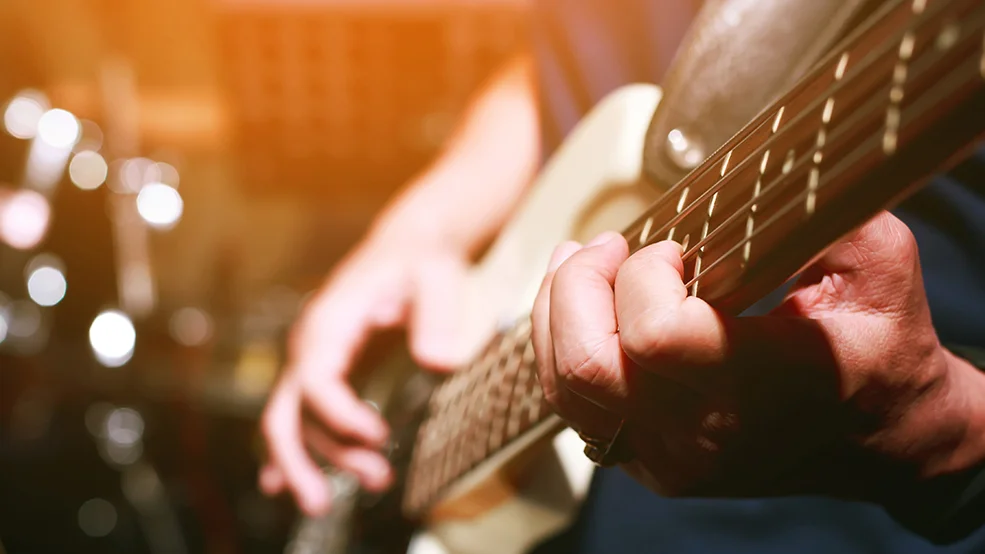 music, concerts, festival