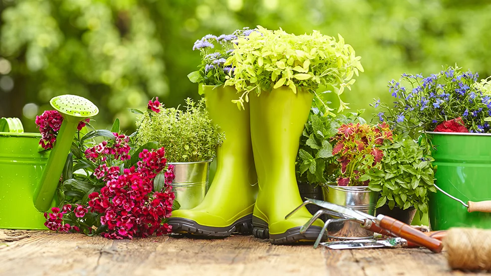 Ottawa Home and Garden Show