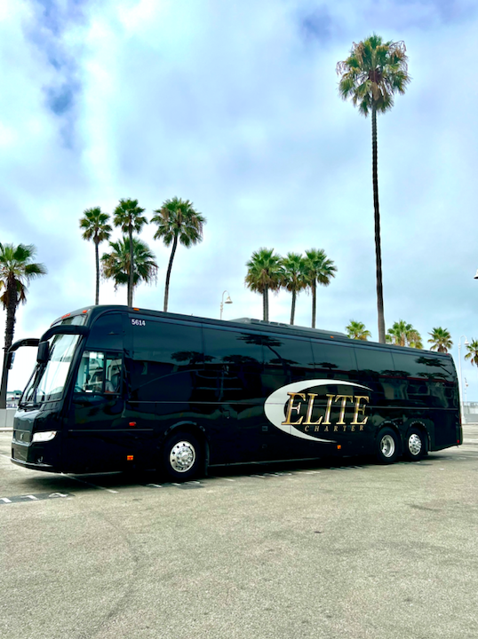 Elite Charter & Party Bus Group