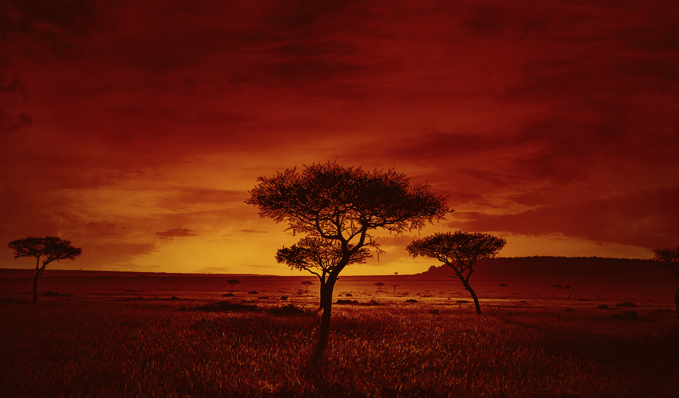 The Lion King - Musical