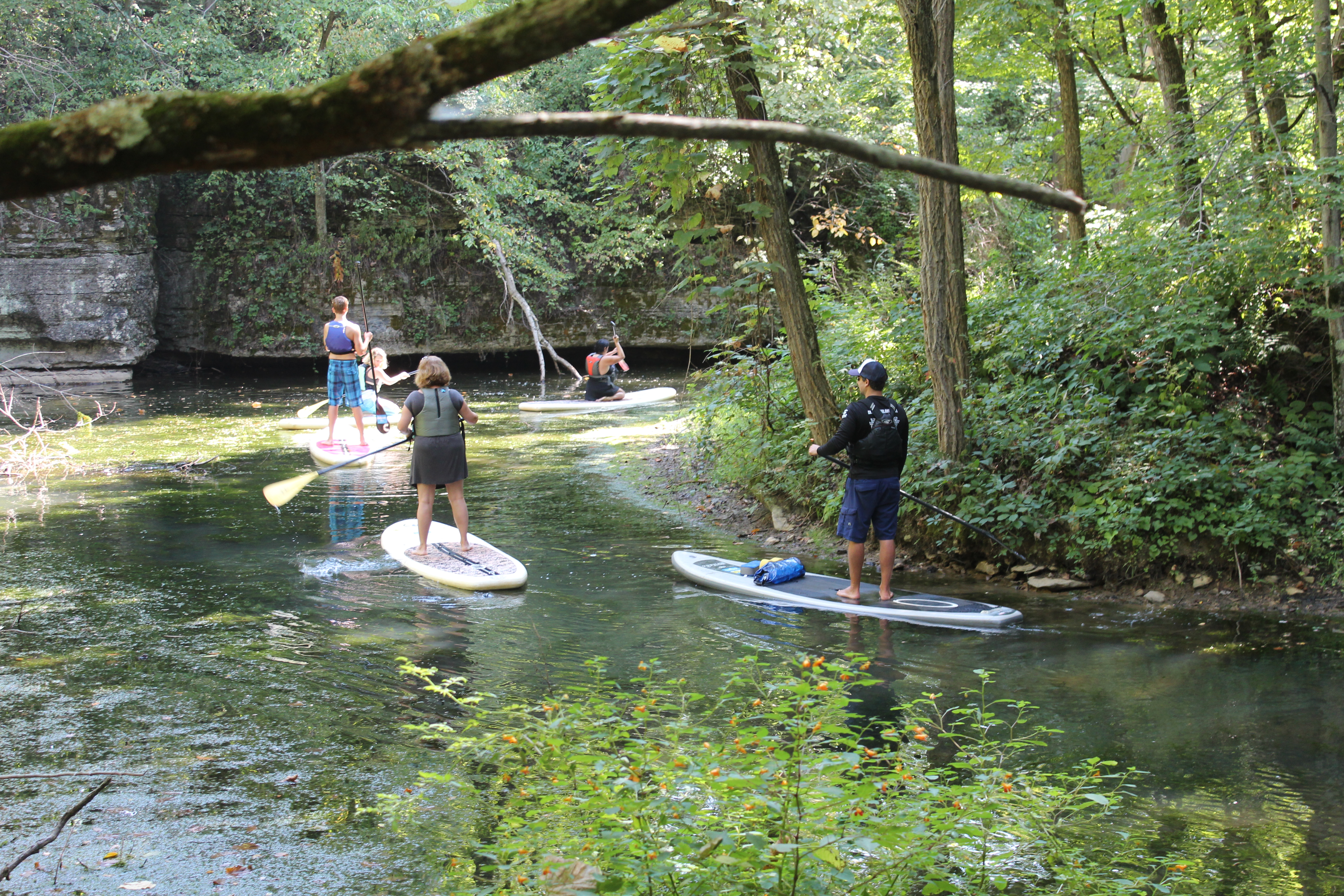 Paddleboarding Eco Tours