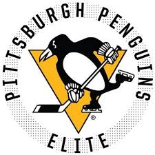 UPMC Lemieux Ice Complex: Pittsburgh Penguis Elite Mid-Winter Classic Hockey Tournament