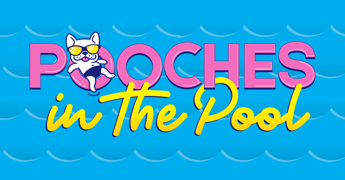Allegheny County Parks Pooches In The Pools