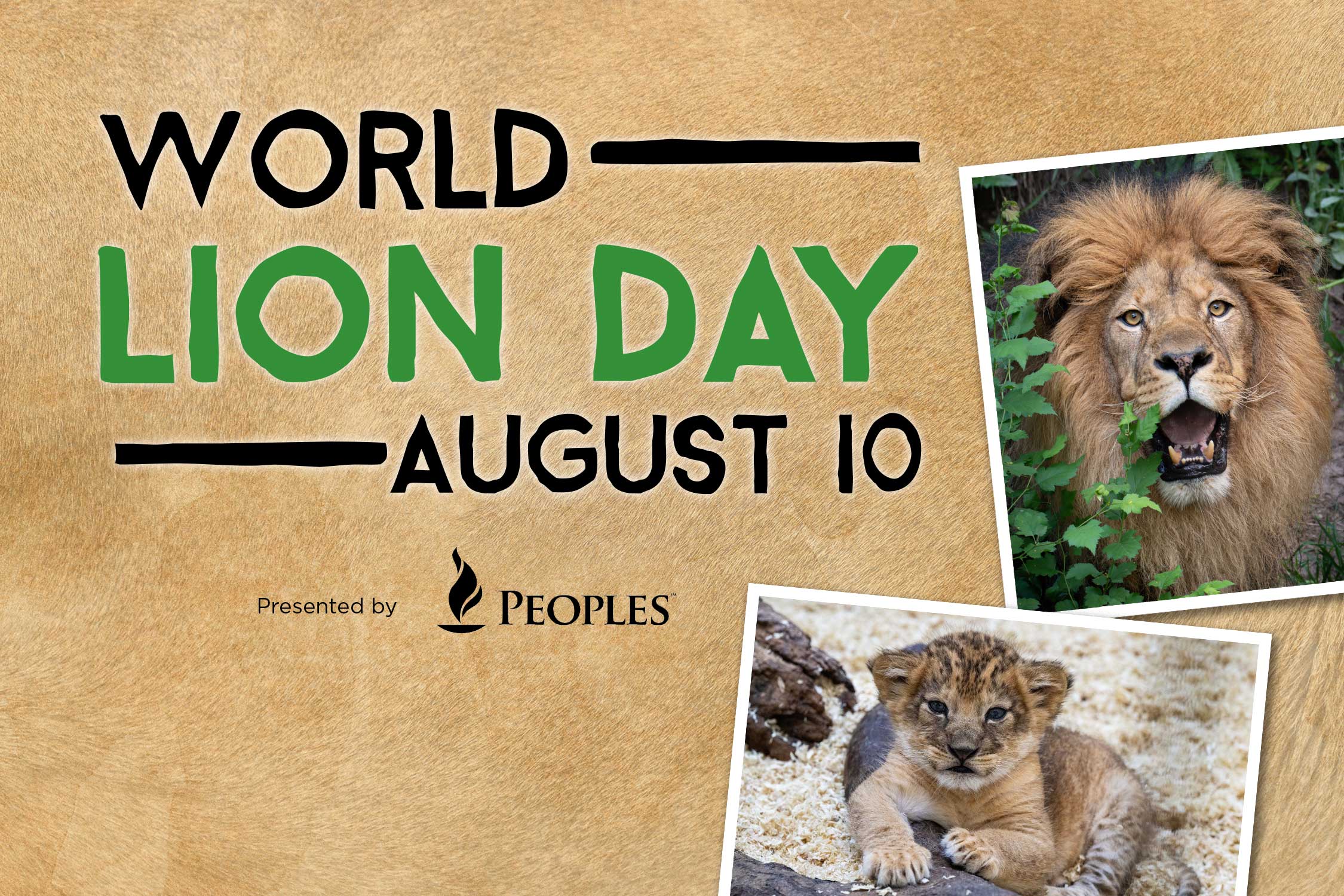 World Lion Day