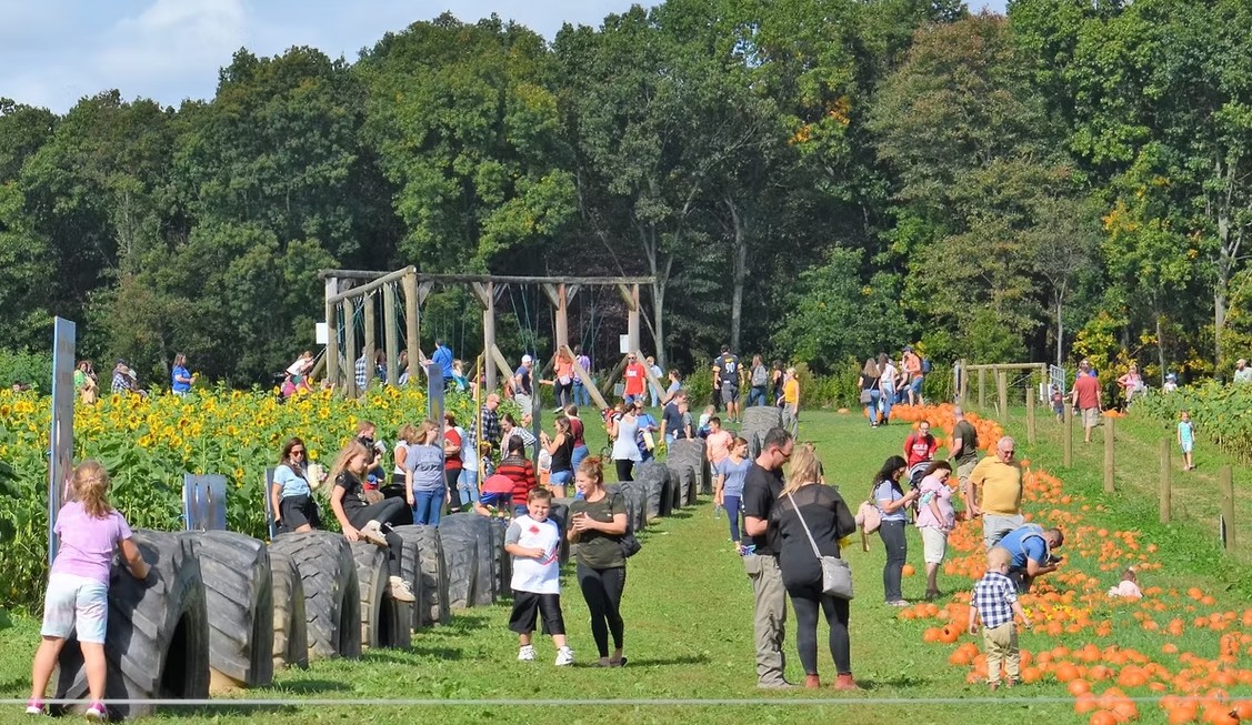 Freedom Farms Fall Fest