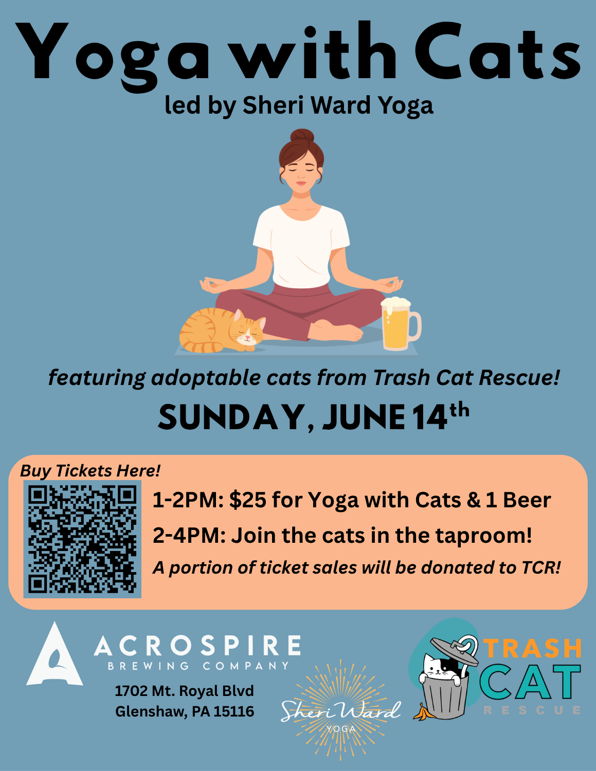 Yoga with Cats