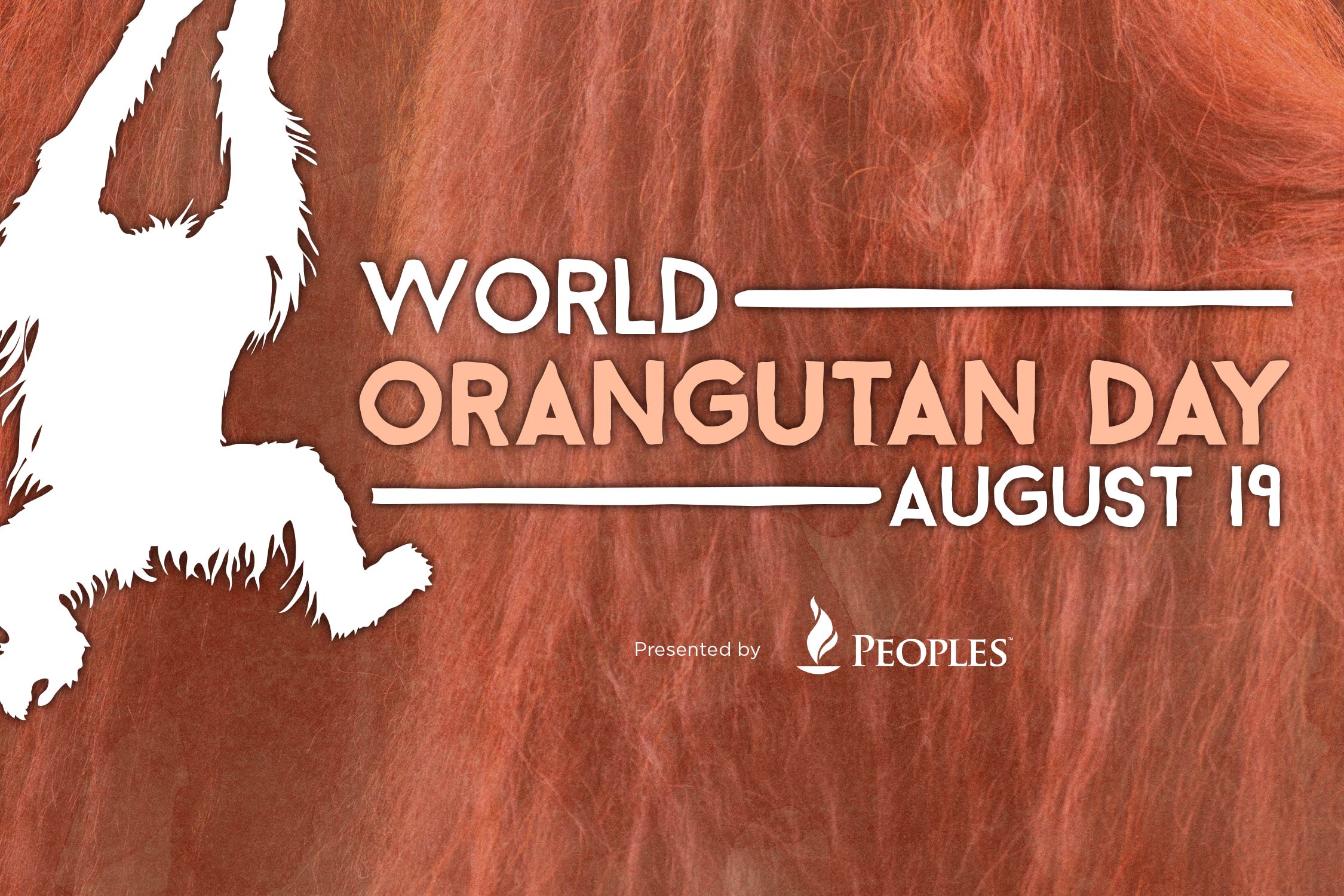 International Orangutan Day