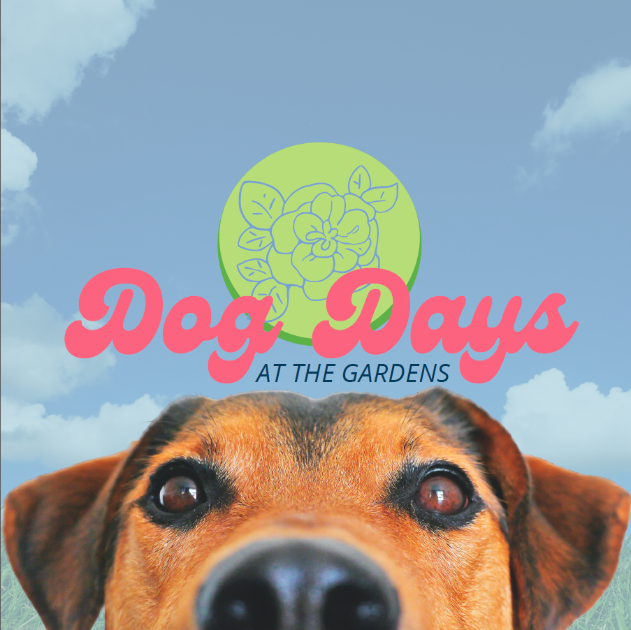 Dog Days at the Gardens