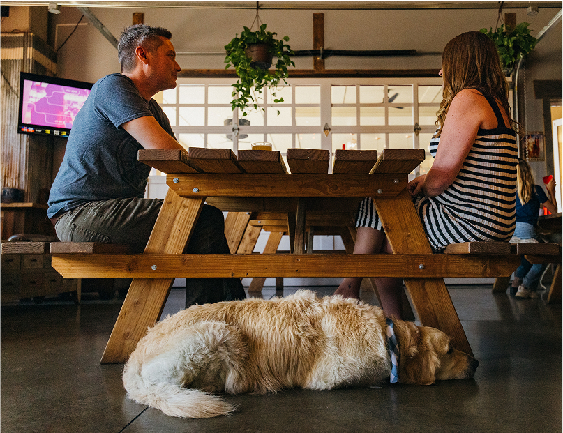 Beer Barn: Paint and Sip