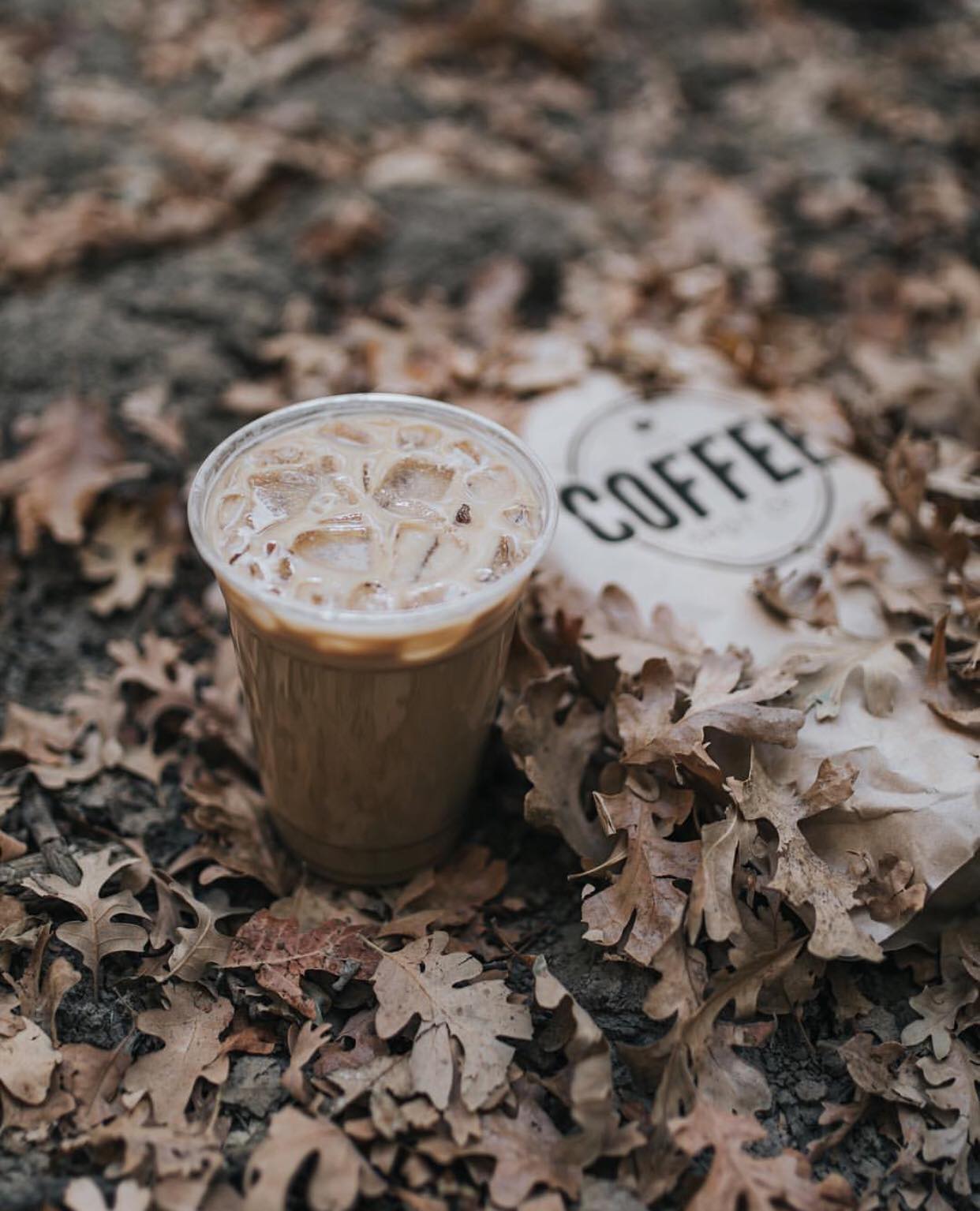 The Coffee Spot Co