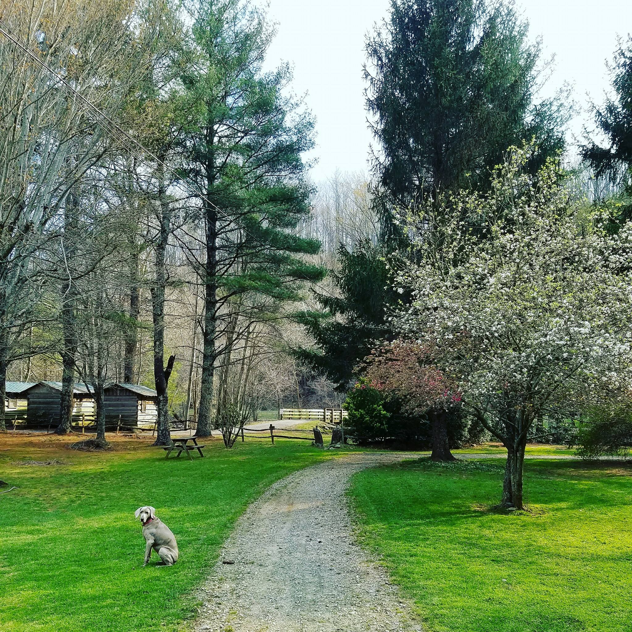 Blue Ridge Motorcycle Campground Cruso North Carolina Reviewmotors.co