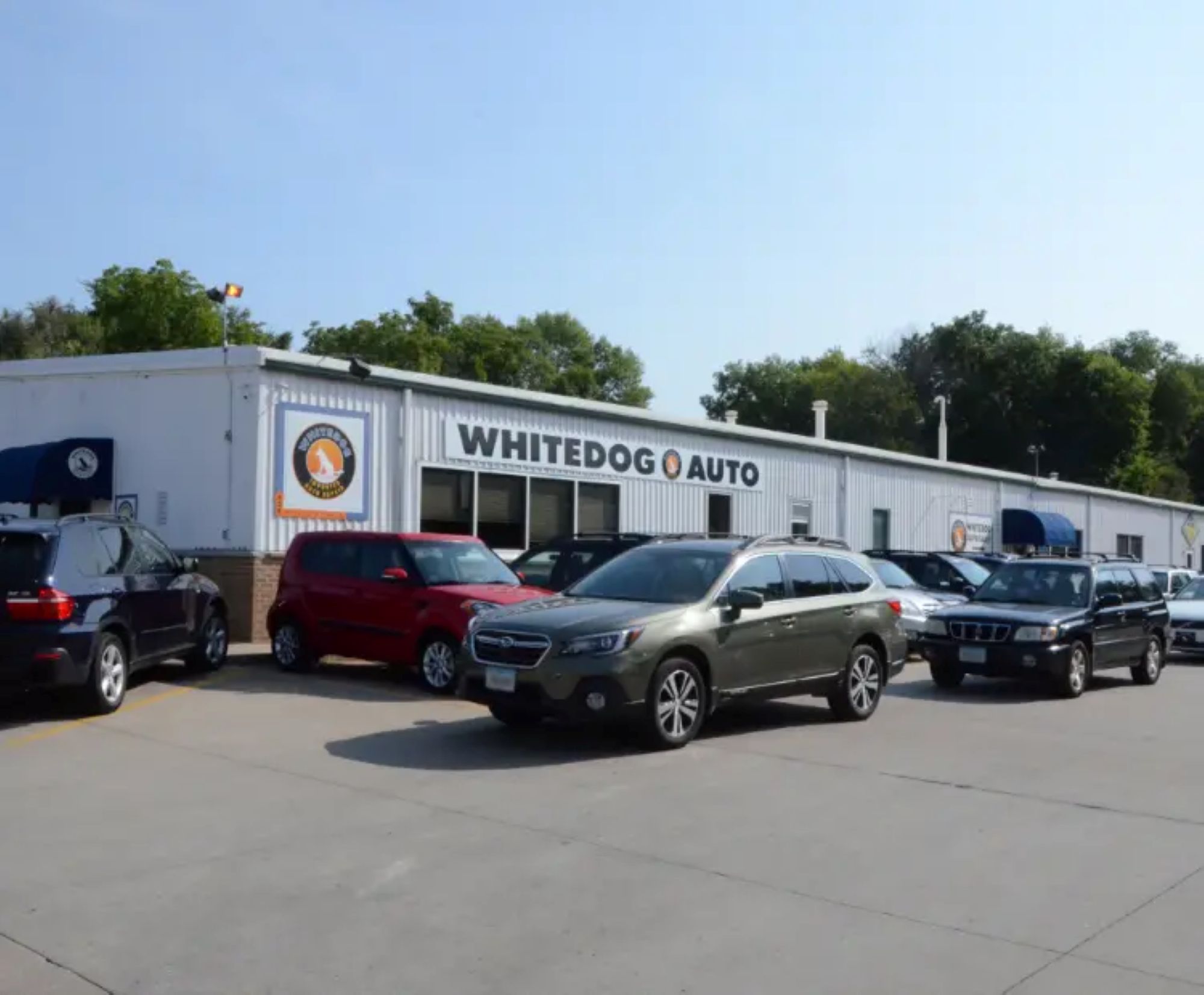 Whitedog Auto