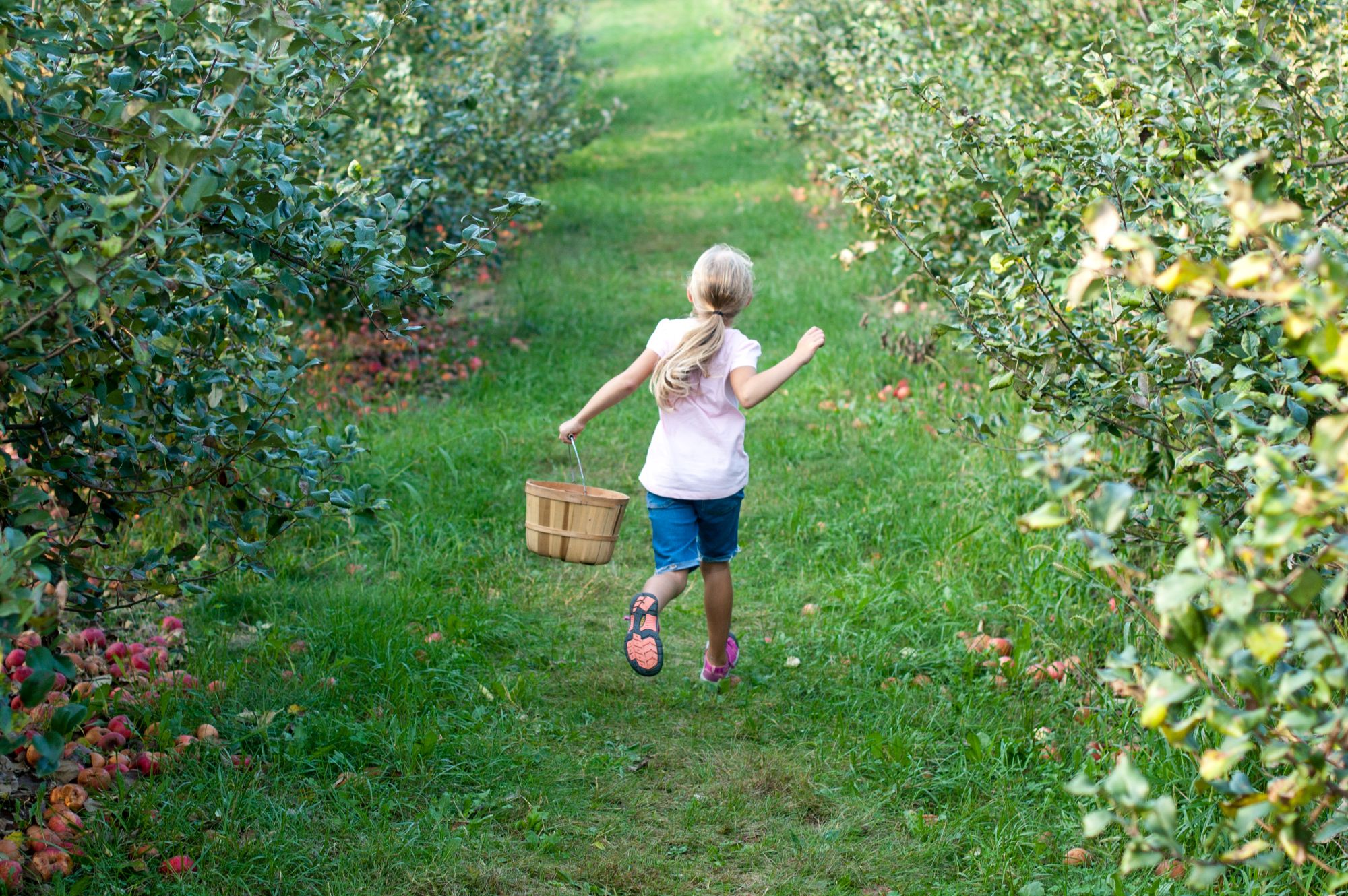 Wilson's Orchard & Farm