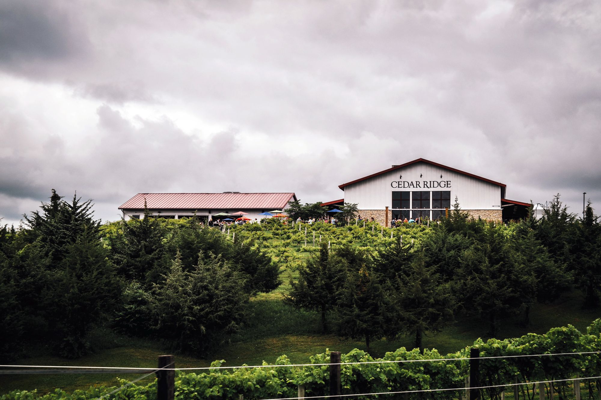 Cedar Ridge Winery & Distillery