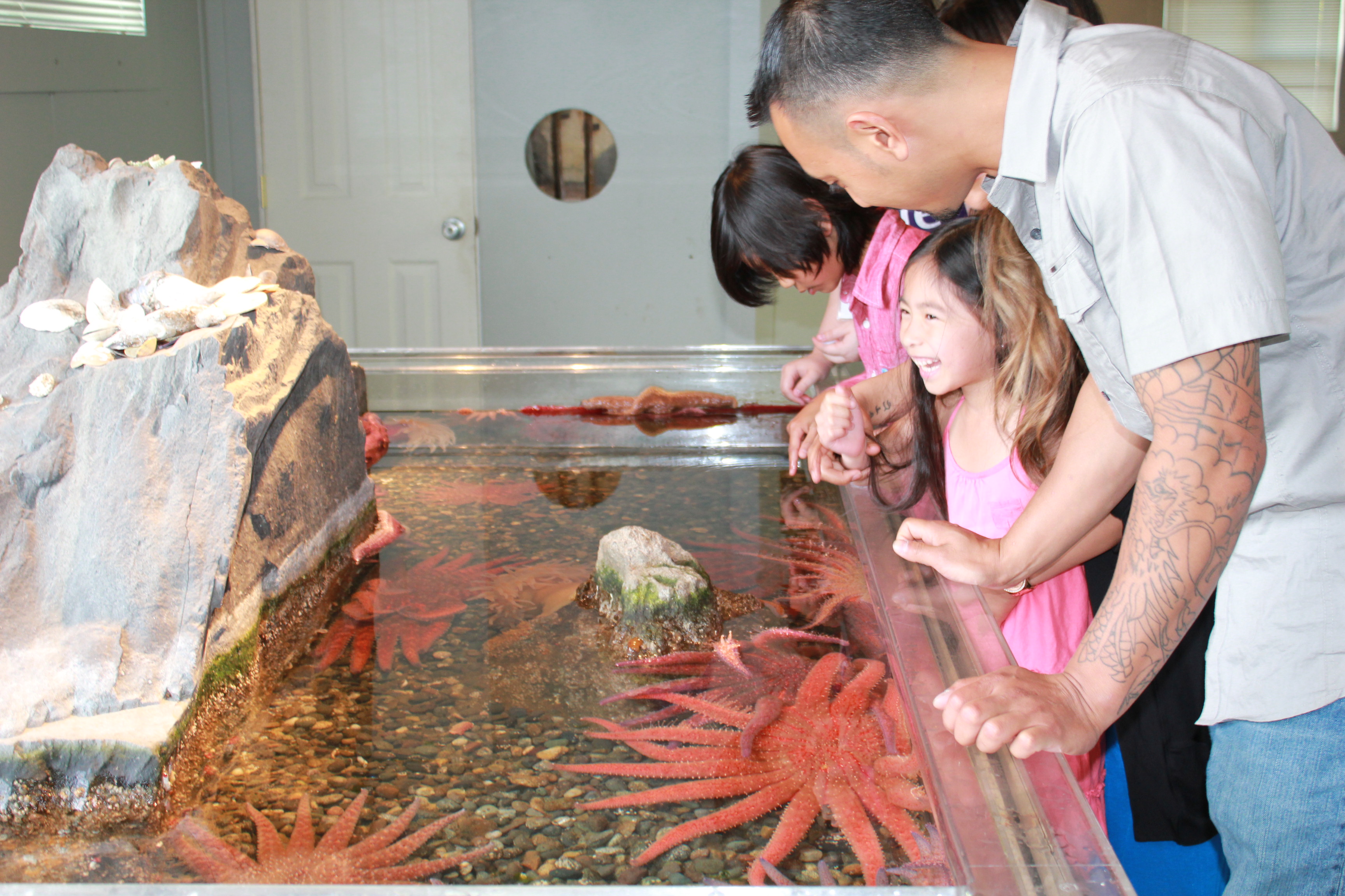 Plan Your Spring Break Trip in Seattle Southside Explore Seattle