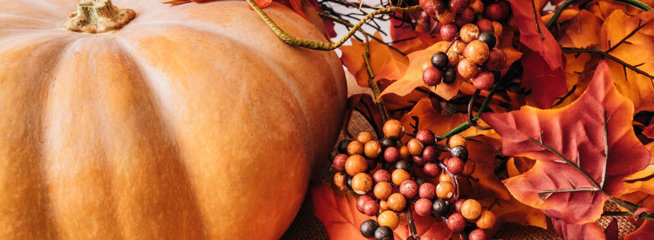 Great Pumpkin Festival