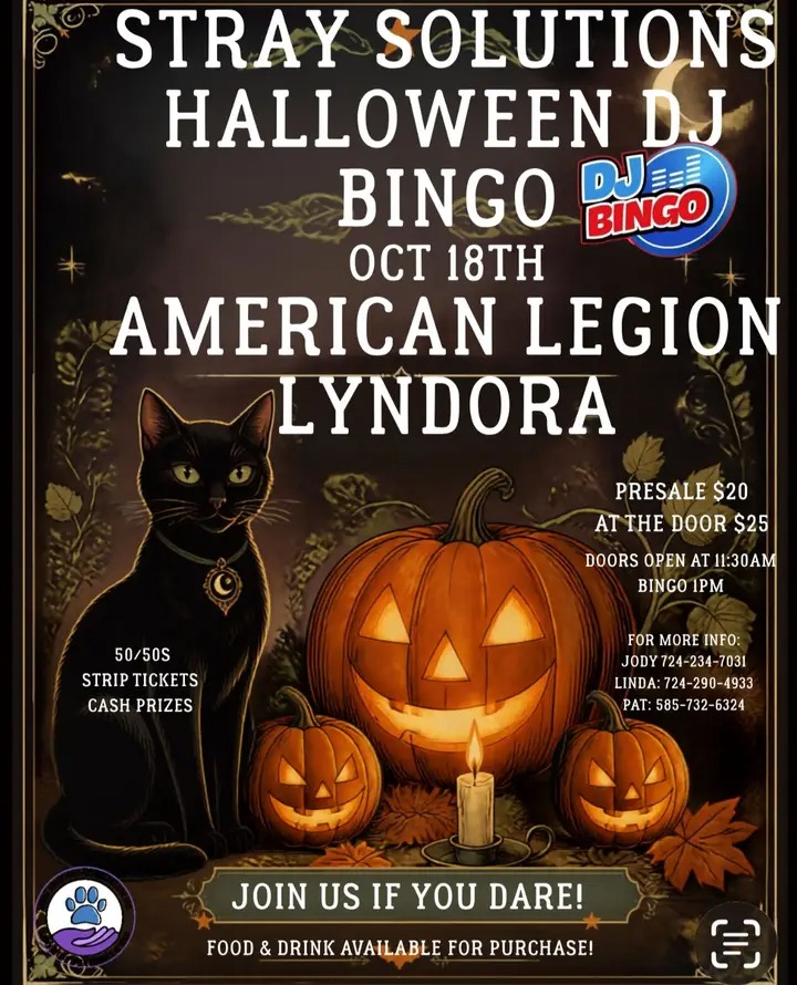 Stray Solutions Halloween DJ Bingo